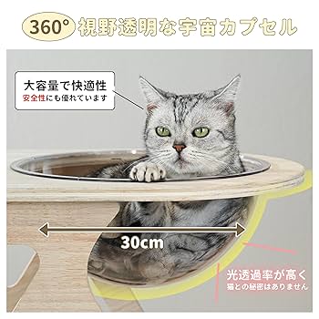 Amazon | キャットタワー 木製のキャットタワー 透明のスペース